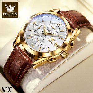 OLEVS 2872 Waterproof Quartz Fashion Watch for Men