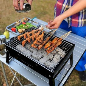 Portable koyla & BBQ Grill-2598